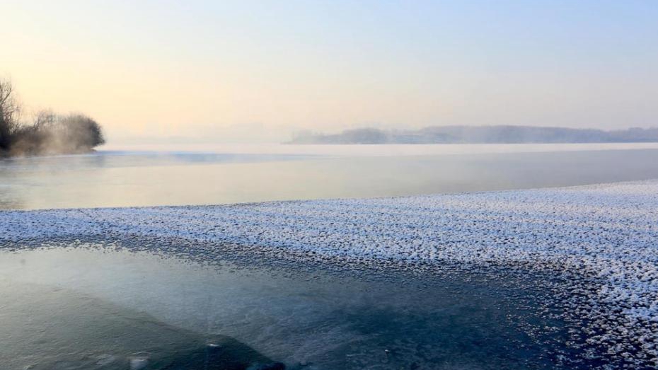 甘肅戈壁濕地冰面“雪處疑花滿”