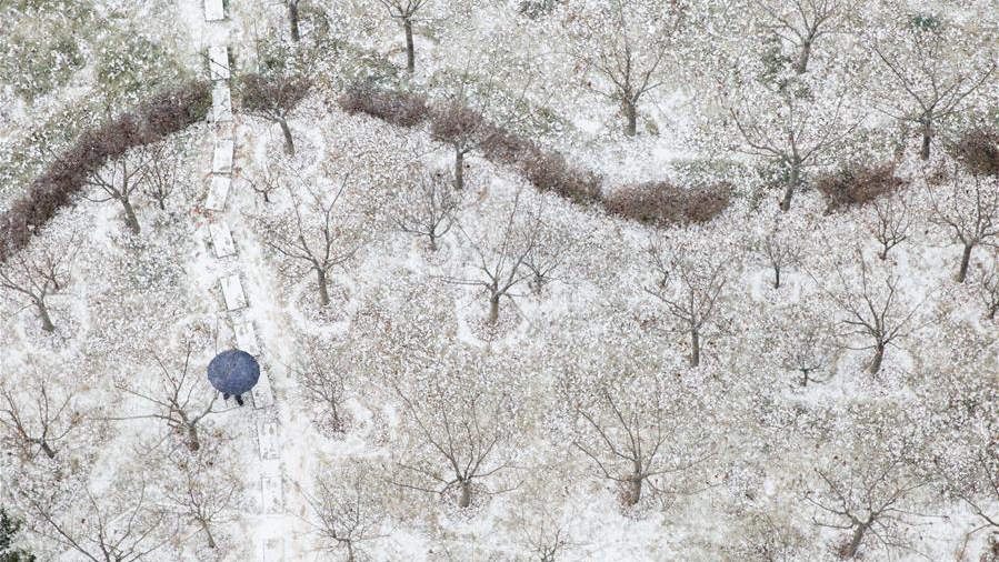 瑞雪迎新年