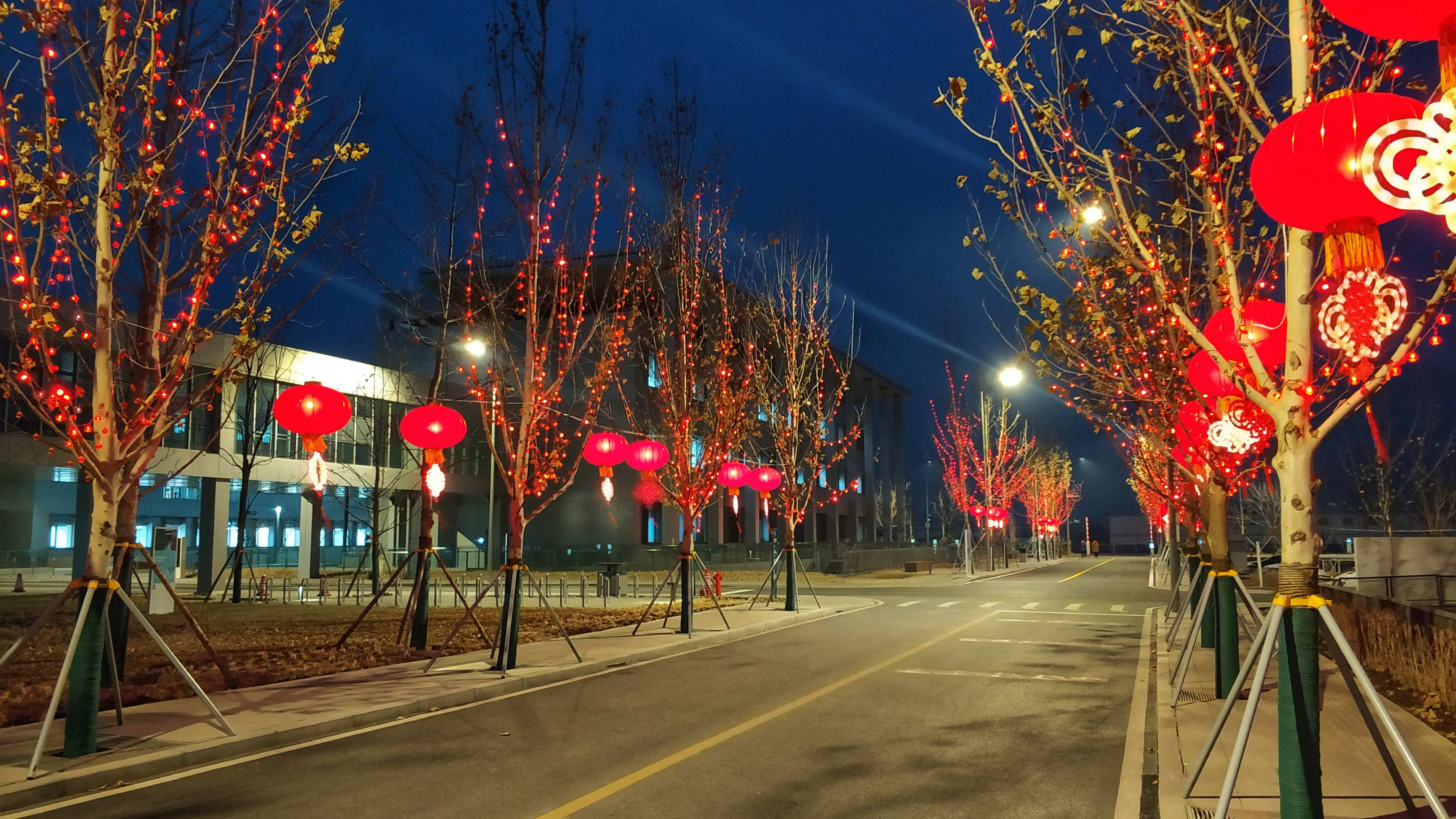 視頻丨大紅燈籠高高掛