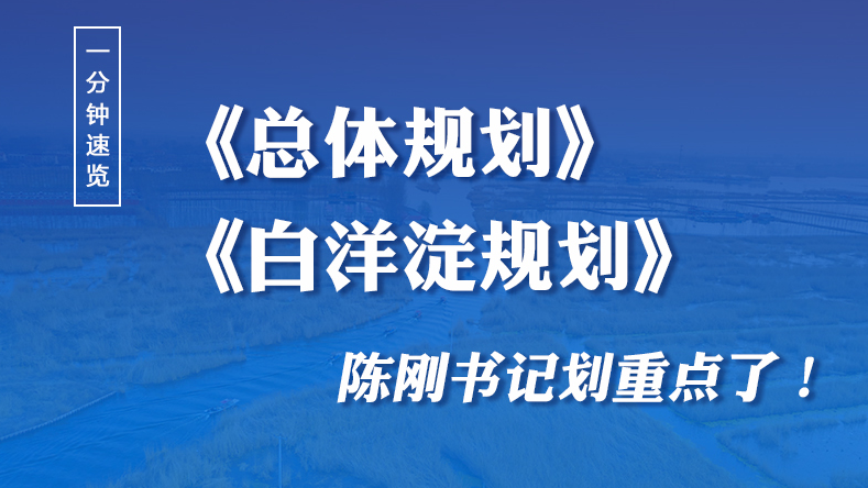 一分鐘速覽！《總體規劃》《白洋淀規劃》陳剛書記劃重點了！