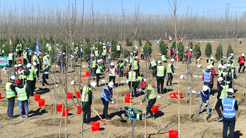 視頻丨雄安新區(qū)舉行2019年春季義務植樹暨“向雷鋒同志學習紀念林”共建活動