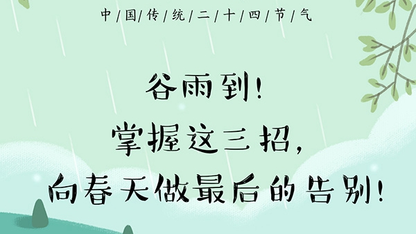 谷雨到！掌握這三招，向春天做最后的告別！