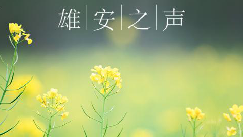 【雄安之聲】20190501