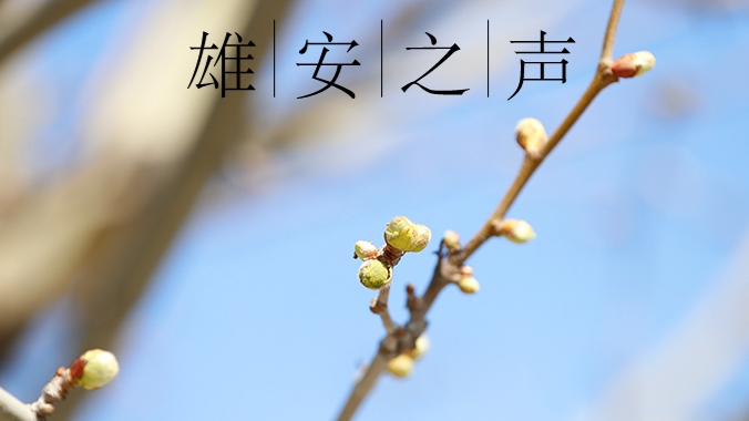 【雄安之聲】20190507