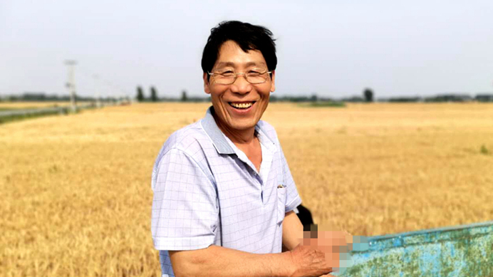 雄安新區：又是一年麥收忙 麥浪滾滾穗飄香