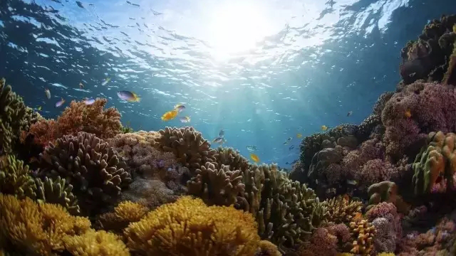 歡樂(lè)暑假丨暑期不得不去的河北旅游勝地