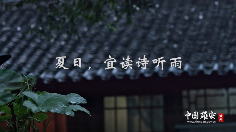 視頻丨夏日，宜讀詩(shī)聽(tīng)雨