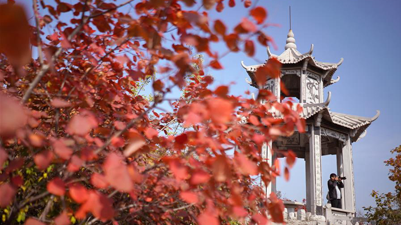 紅葉秋景