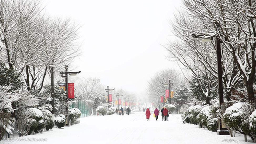 雄安下雪啦！這份暖心貼士請收好