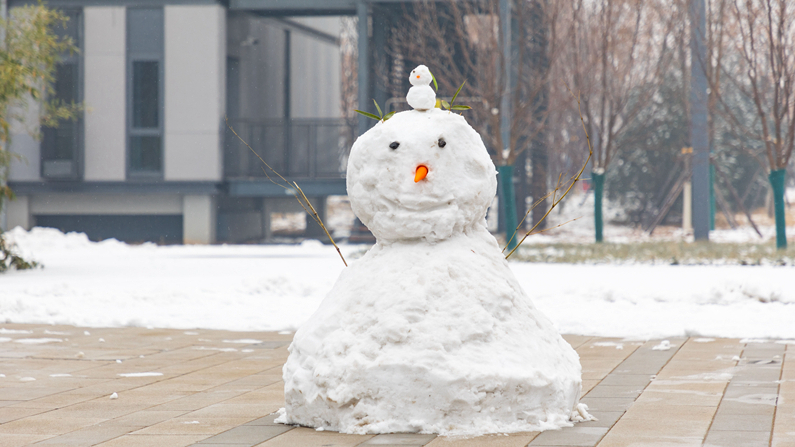 圖集 | 雪落雄安新區，到處銀裝素裹