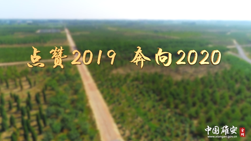 點贊2019！奔向2020！