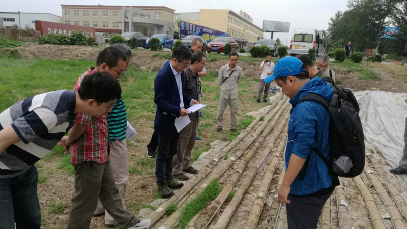 雄安這一年：繪就地震安全韌性城市藍(lán)圖