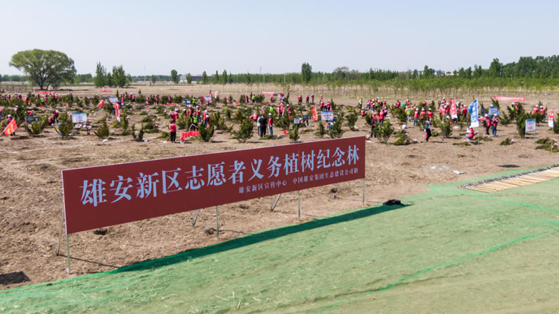 雄安新區(qū)開展“播種希望 植綠雄安”志愿服務(wù)活動(dòng)