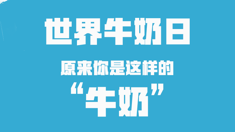 世界牛奶日丨原來你是這樣的“牛奶”