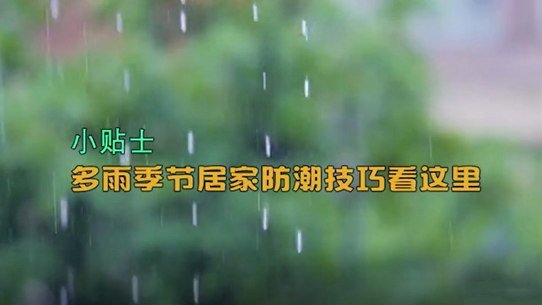 小貼士丨多雨季節居家防潮技巧看這里