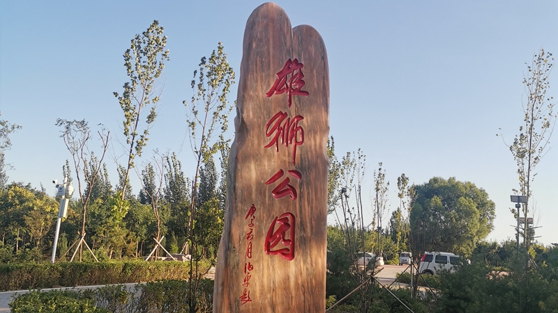 歡度國(guó)慶丨美在雄安，打卡雄獅公園！