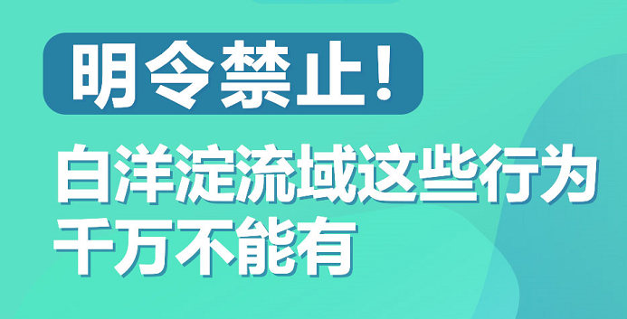 圖解丨明令禁止！白洋淀流域這些行為千萬不能有