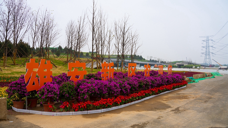 賞生態美景 品燕趙文化 雄安郊野公園建設基本完成