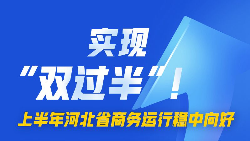 圖解丨實現“雙過半”！上半年河北省商務運行穩中向好