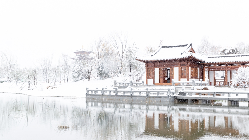 那些飄進詩詞里的雪，美翻了！