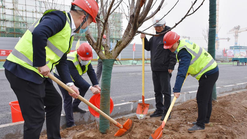 雄安新區啟動區：植下一片綠 共享滿城春