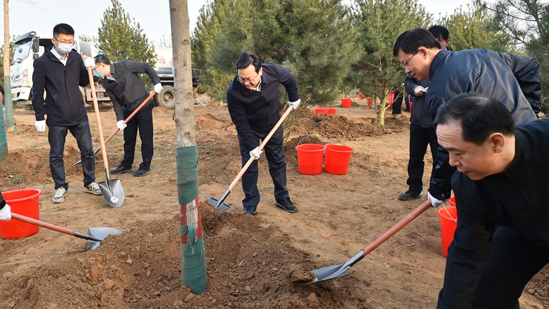 張國華參加新區義務植樹活動