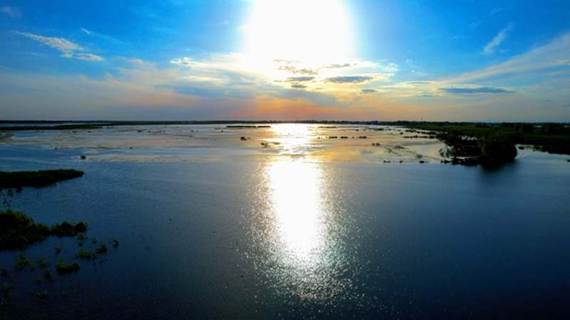 人、水、鳥、魚和諧共生——雄安新區(qū)繪就水城共融生態(tài)圖景