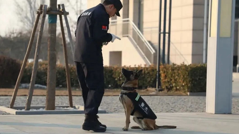 雄安新區(qū)公安局開展系列活動慶祝第四個中國人民警察節(jié)