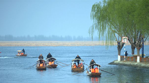 白洋淀景區迎五一旅游小高峰