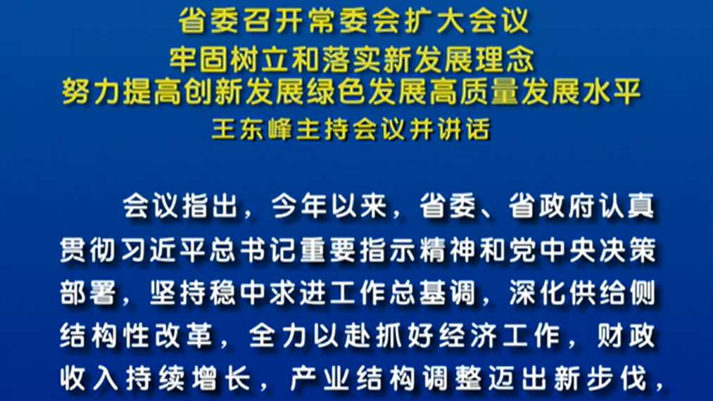 王東峰：努力提高創新發展綠色發展高質量發展水平