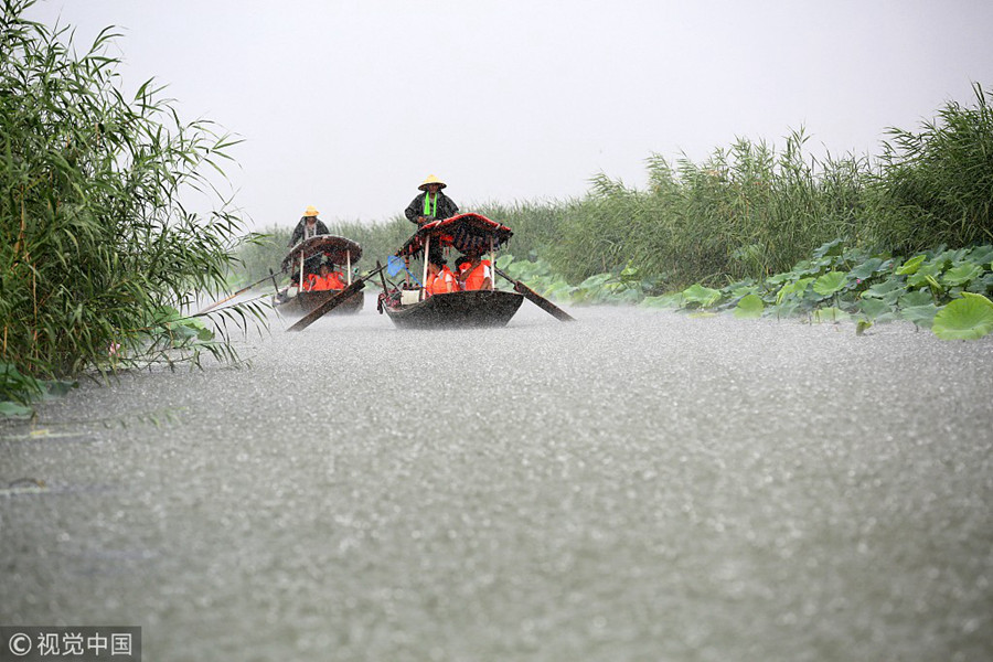 雄安：白洋淀雨后清涼引客來